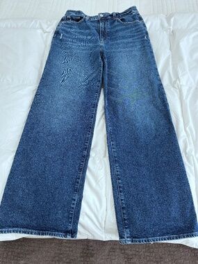 PAIGE Sasha jeans in the Modernism wash Wide Leg sz 29